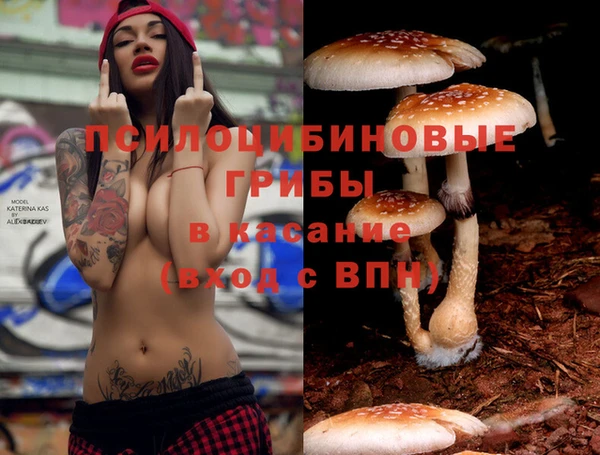 трава Армянск