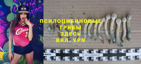 трава Армянск