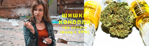 трава Армянск
